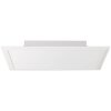AEG Merrie Ceiling Light LED beige, white, 1-light source, Colour changer