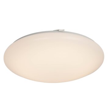 AEG Basic ceiling light LED white, 1-light source