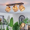 Barcos ceiling light, ceiling spotlight black, 3-light sources