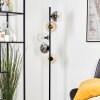 Koyoto globe light, floor lamp 31 cm Amber, clear, Smoke-coloured, 5-light sources