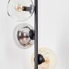 Koyoto globe light, floor lamp 31 cm Amber, clear, Smoke-coloured, 5-light sources