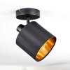Alsen wall light, wall spotlight black, 1-light source