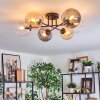 Gastor ceiling light, globe light 62 cm Amber, clear, Smoke-coloured, 6-light sources