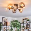 Gastor ceiling light, globe light 62 cm Amber, clear, Smoke-coloured, 6-light sources