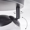 Koyoto ceiling light, globe light chrome, Smoke-coloured, 3-light sources