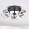 Koyoto ceiling light, globe light clear, Smoke-coloured, 3-light sources