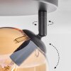 Gastor ceiling light, globe light Amber, chrome, clear, Smoke-coloured, 3-light sources