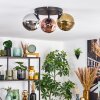 Ripoll ceiling light, globe light chrome, gold, coppery, Smoke-coloured, 3-light sources