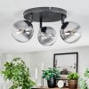 Chehalis ceiling light, globe light clear, Smoke-coloured, 3-light sources