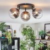 Chehalis ceiling light, globe light clear, Smoke-coloured, 3-light sources