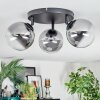 Chehalis ceiling light, globe light clear, Smoke-coloured, 3-light sources