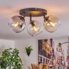 Koyoto ceiling light, globe light Amber, clear, Smoke-coloured, 3-light sources