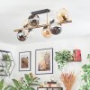 Koyoto ceiling light, globe light gold, black, 8-light sources