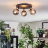 Chehalis ceiling light, globe light Smoke-coloured, 3-light sources