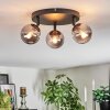 Chehalis ceiling light, globe light Smoke-coloured, 3-light sources