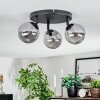 Chehalis ceiling light, globe light Smoke-coloured, 3-light sources