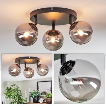 Chehalis ceiling light, globe light Smoke-coloured, 3-light sources