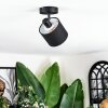 Bassagoda ceiling light, ceiling spotlight black, 1-light source