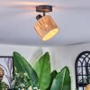 Granja ceiling light, ceiling spotlight black, 1-light source
