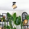 Ramila ceiling light, ceiling spotlight black, 1-light source
