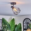 Yaak ceiling light, ceiling spotlight black, 1-light source