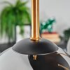Gastor ceiling light, globe light brass, black, 5-light sources
