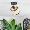 Chellas ceiling light, ceiling spotlight black, 1-light source