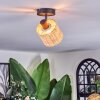 Cavaca ceiling light, ceiling spotlight black, 1-light source
