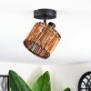 Cando ceiling light, ceiling spotlight black, 1-light source