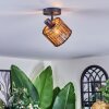 Cando ceiling light, ceiling spotlight black, 1-light source