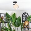 Bongal ceiling light, ceiling spotlight black, 1-light source