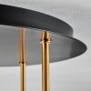 Koyoto ceiling light, globe light 45 cm brass, black, 5-light sources