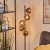 Koyoto globe light, floor lamp 33 cm gold, clear, coppery, Smoke-coloured, 5-light sources