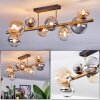 Chehalis ceiling light, globe light gold, black, 8-light sources