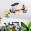 Chehalis ceiling light, globe light gold, black, 8-light sources