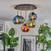 Ripoll ceiling light, globe light brass, black, 5-light sources