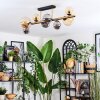 Chehalis ceiling light, globe light gold, black, 8-light sources