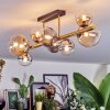 Chehalis ceiling light, globe light gold, black, 8-light sources