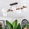 Chehalis ceiling light, globe light gold, black, 8-light sources