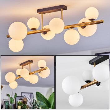 Chehalis ceiling light, globe light gold, black, 8-light sources