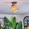 Barcos ceiling light, ceiling spotlight black, 1-light source