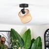 Barcos ceiling light, ceiling spotlight black, 1-light source