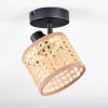 Barcos ceiling light, ceiling spotlight black, 1-light source