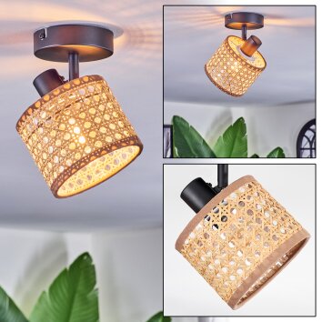 Barcos ceiling light, ceiling spotlight black, 1-light source