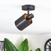 Fallhagen ceiling light, ceiling spotlight black, 1-light source