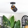 Fallhagen ceiling light, ceiling spotlight black, 1-light source
