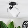 Fallhagen ceiling light, ceiling spotlight black, 1-light source