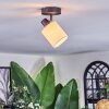 Fallhagen ceiling light, ceiling spotlight black, 1-light source