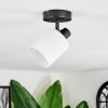 Fallhagen ceiling light, ceiling spotlight black, 1-light source