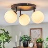 Chehalis ceiling light, globe light white, 3-light sources